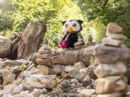 k1600_familiennester_2023-186